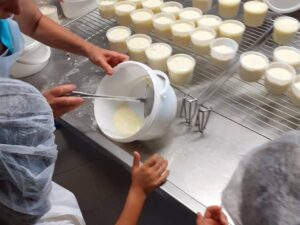 Chic Planet'colos - Colonie de vacances