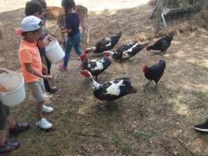 Chic Planet'colos - Colonie de vacances