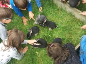 Chic Planet'colos - Colonie de vacances