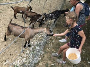 Chic Planet'colos - Colonie de vacances