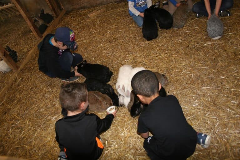 Ferme des Balances - Colonie de vacances - Chic Planet' Colos | RESACOLO