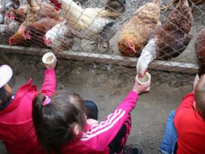 Ferme des Balances - Colonie de vacances - Chic Planet' Colos | RESACOLO