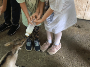 Ferme des Balances - Colonie de vacances - Chic Planet' Colos | RESACOLO