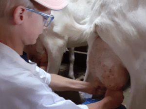 Ferme des Balances - Colonie de vacances - Chic Planet' Colos | RESACOLO