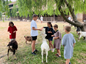 Ferme des Balances - Colonie de vacances - Chic Planet' Colos | RESACOLO