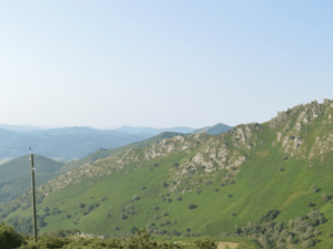 Les Pieds dans l'Eau - Surf ! - Colonie de vacances - Chic Planet' Colos | RESACOLO