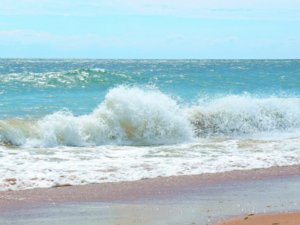 Chic Planet'colos - Colonie de vacances - Bulgarie - Des balkans à la mer noire