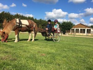 Poneys des Quatre Saisons - Colonie de vacances - Équitation - Poney-club de la Source - Mes premiers galops et mon premier potager