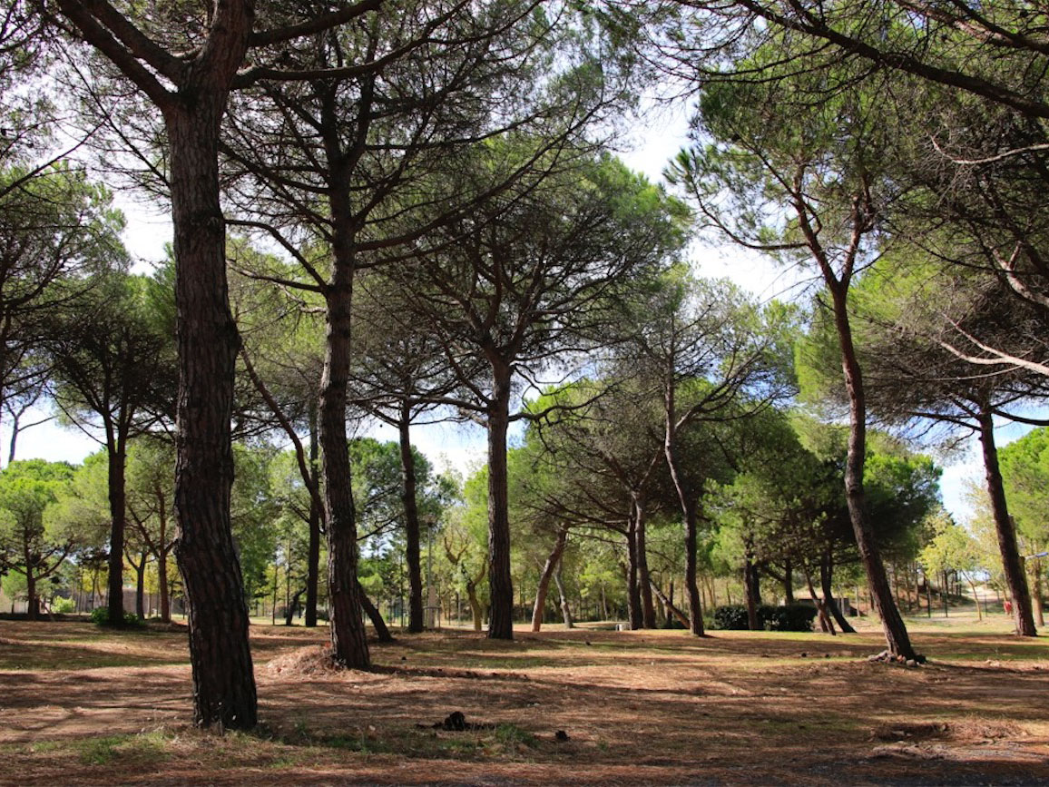 Zigotours - Colonie de vacances - Agde - camping