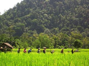 Sumatra - Colonie de vacances - Zigo Tours | RESACOLO