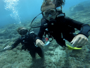 Ténérife - Colonie de vacances - Eole Loisirs | RESACOLO