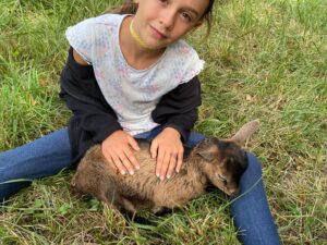 Ferme des Balances - Colonie de vacances - Chic Planet' Colos | RESACOLO