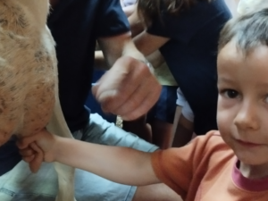 Ferme des Balances - Colonie de vacances - Chic Planet' Colos | RESACOLO