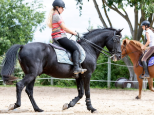 Chic Planet' Colos - Colonie de vacances