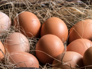 Chic Planet'colos - Colonie de vacances - Ferme de l'Aoueille