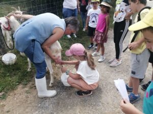 Chic Planet'colos - Colonie de vacances - Ferme de l'Aoueille