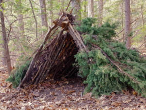 Chic Planet'colos - Colonie de vacances - Ferme de l'Aoueille