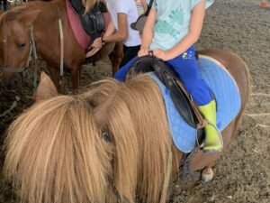 Chic Planet'colos - Colonie de vacances - Ferme de l'Aoueille