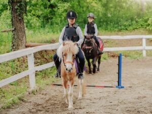 Chic Planet'colos - Colonie de vacances - Ferme de l'Aoueille