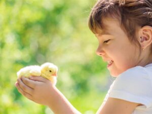 Chic Planet'colos - Colonie de vacances - Ferme de l'Aoueille