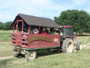 Chic Planet'colos - Colonie de vacances - Ferme des Balances