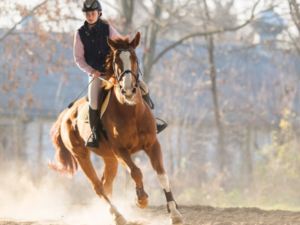 Chic Planet'colos - Colonie de vacances - Les Pieds dans l'eau - Anglet - Equitation