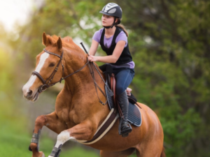 Chic Planet'colos - Colonie de vacances - Les Pieds dans l'eau - Anglet - Equitation