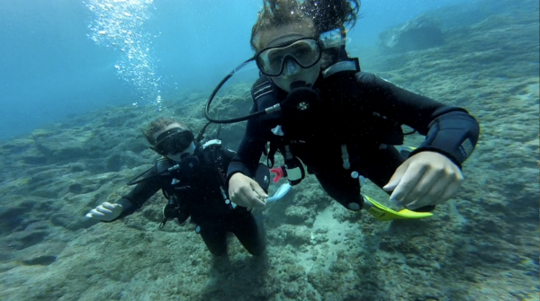 Eole Loisirs - Colonie de vacances - Tenerife