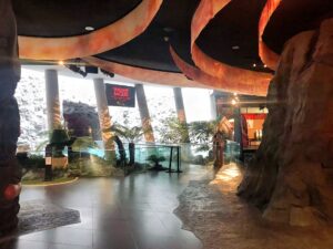 CESL - Colonie de vacances - Je réalise mon film d'animation