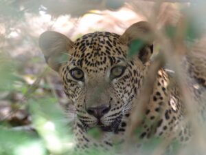 Eole Loisirs - Colonie de vacances - Inde Solidaire