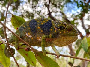 Île de Zanzibar - Colonie de vacances - CESL | RESACOLO