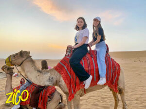 Zigo Tours - Colonie de vacances - Dubaï & Abu Dhabi