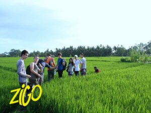 Zigo Tours - Colonie de vacances - Bali