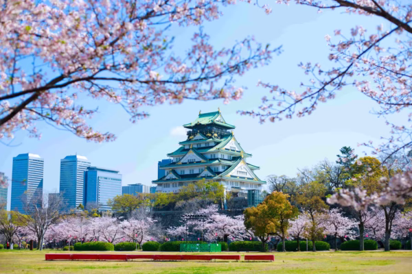 Colonie de vacances au Japon pour 18-25 ans