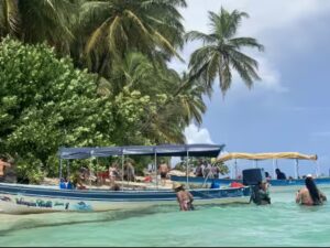 Les Vacances du Zèbre - Colonie de vacances - Panama