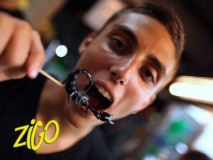 Zigo Tours - Colonie de vacances - Vietnam - Cambodge - Thaïlande