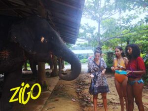 Zigo Tours - Séjour jeunes adultes - Vietnam - Cambodge - Thaïlande