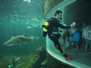 Eole Loisirs - Colonie de vacances - Baie de Somme & Parc Bagatelle