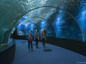 Eole Loisirs - Colonie de vacances - Baie de Somme & Parc Bagatelle