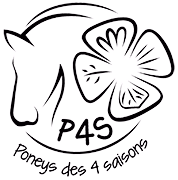 RESACOLO & Poneys des 4 saisons - Colonie de vacances